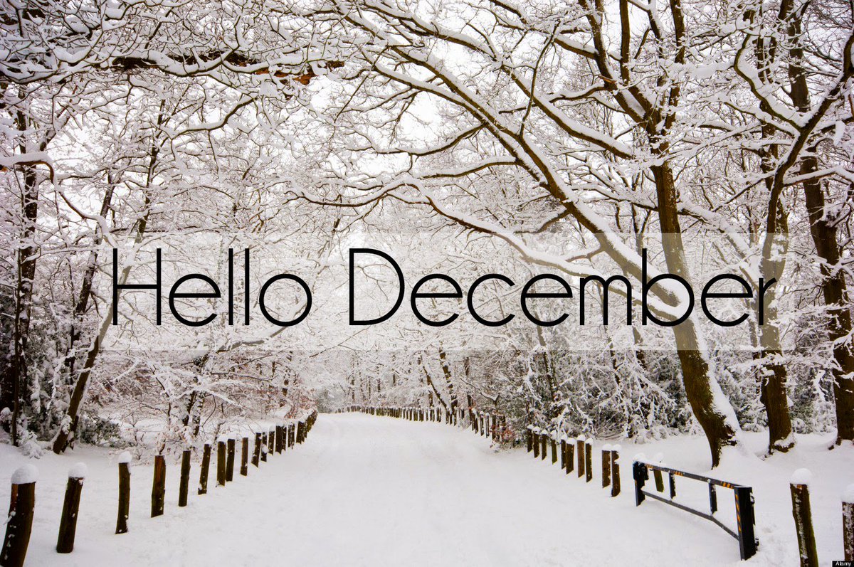 afni_zp's tweet photo. Selamat pagi desember ヽ(*≧ω≦)ﾉ https://t.co/1qMq3sYl33