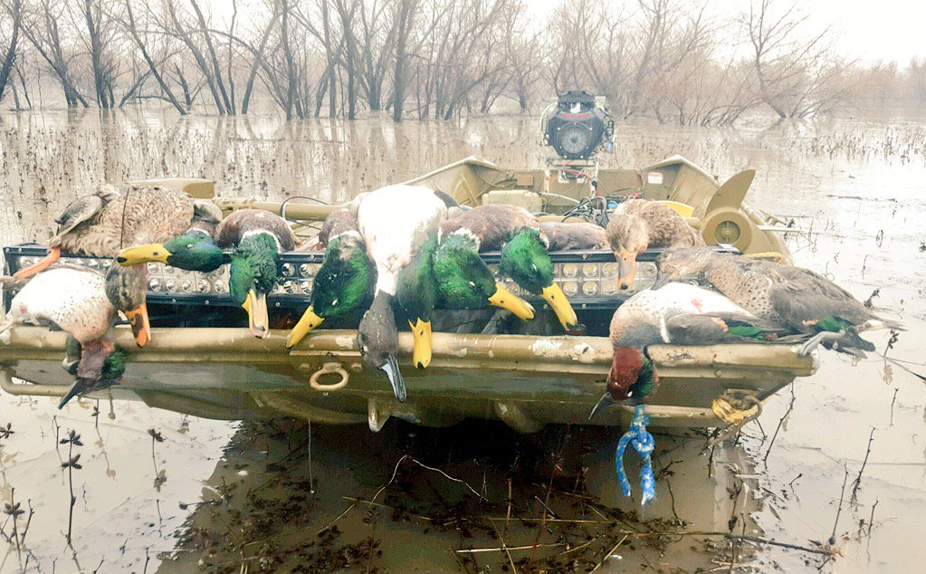 J_S_Daugherty's tweet photo. My cousin and brother in law got it done today with their @Hann_Made_Calls #Missouri #moducks ##momallards #pintail https://t.co/BCGiTgatSK