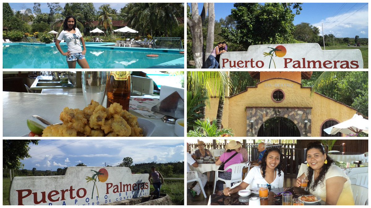 SANDRI2702's tweet photo. @rodgonzalezl  PELUCHÍN.... PUERTO PALMERAS ES SÚPER LINDO! https://t.co/ClYlHoFLar