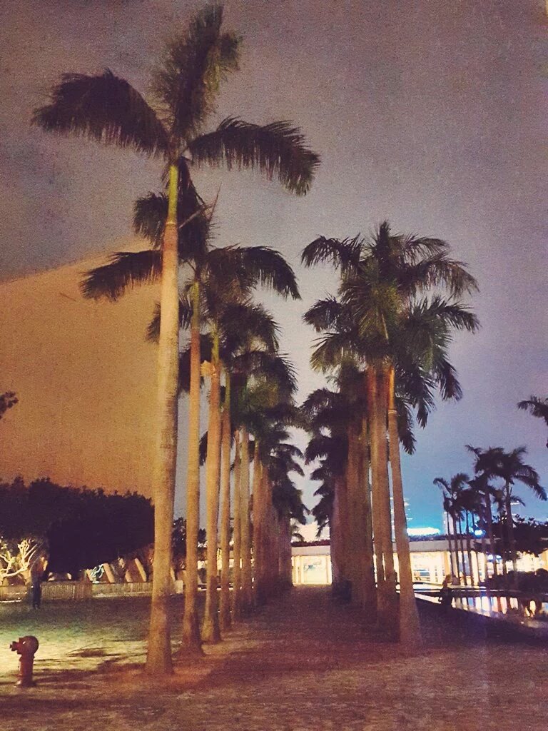 EXO INDONESIA tweet media