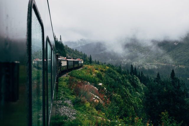 0xnorthw's tweet photo. Train ride where you're sipping coffee and enjoying the passing scenery in complete bliss. (I'd rather be here)🌲🌫🌿 https://t.co/7Ame7OexG0