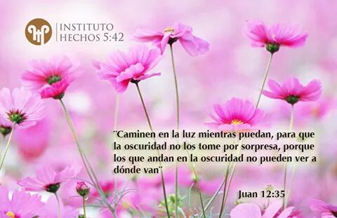 OracionHechos's tweet photo. #SuPalabraEsLaVerdad https://t.co/heK5rQ46A2