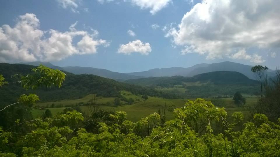 Rogitama's tweet photo. @LaVozKidsCo  #graciasColombia Reserva natural @Rogitama Biodiversidad https://t.co/v6WJE9T5QP