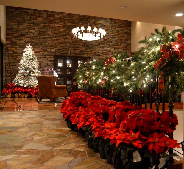 NorthRanchCC's tweet photo. #Poinsettias are a perfect way to decorate for a #holiday #event! We use them in our foyer &amp; as #centerpieces! https://t.co/uimJNLNfQi