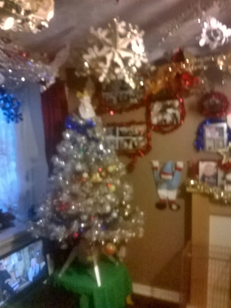 owen bradley (@owenbradley2015) on Twitter photo 