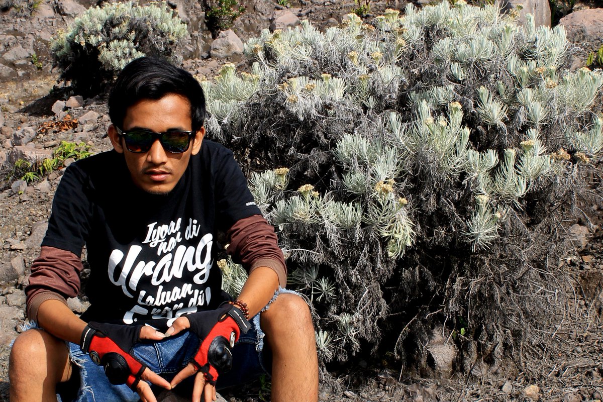 nahtra tweet picture