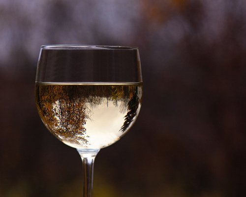FireflyMRidge's tweet photo. #FEATUREWINE: Rick's been raving about @paul_mas's Viognier wine all morning. Pick it up for 15% off until Wednesday https://t.co/9zheco3Qgv
