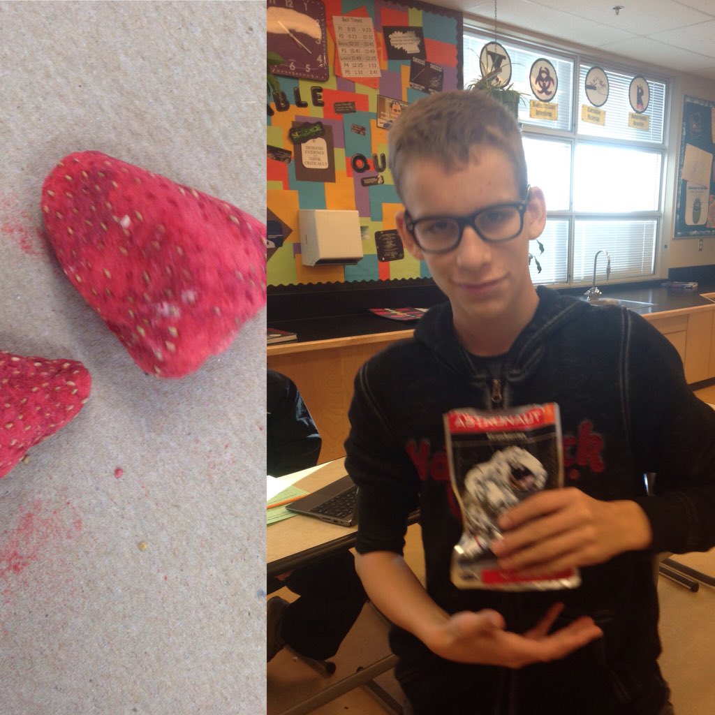 MrsRiddle5's tweet photo. Gr.9 parent visited @NASA and brought back freeze dried strawberries for us to try. #space #IRJC #notquitethesame https://t.co/DUtaOcg9DN