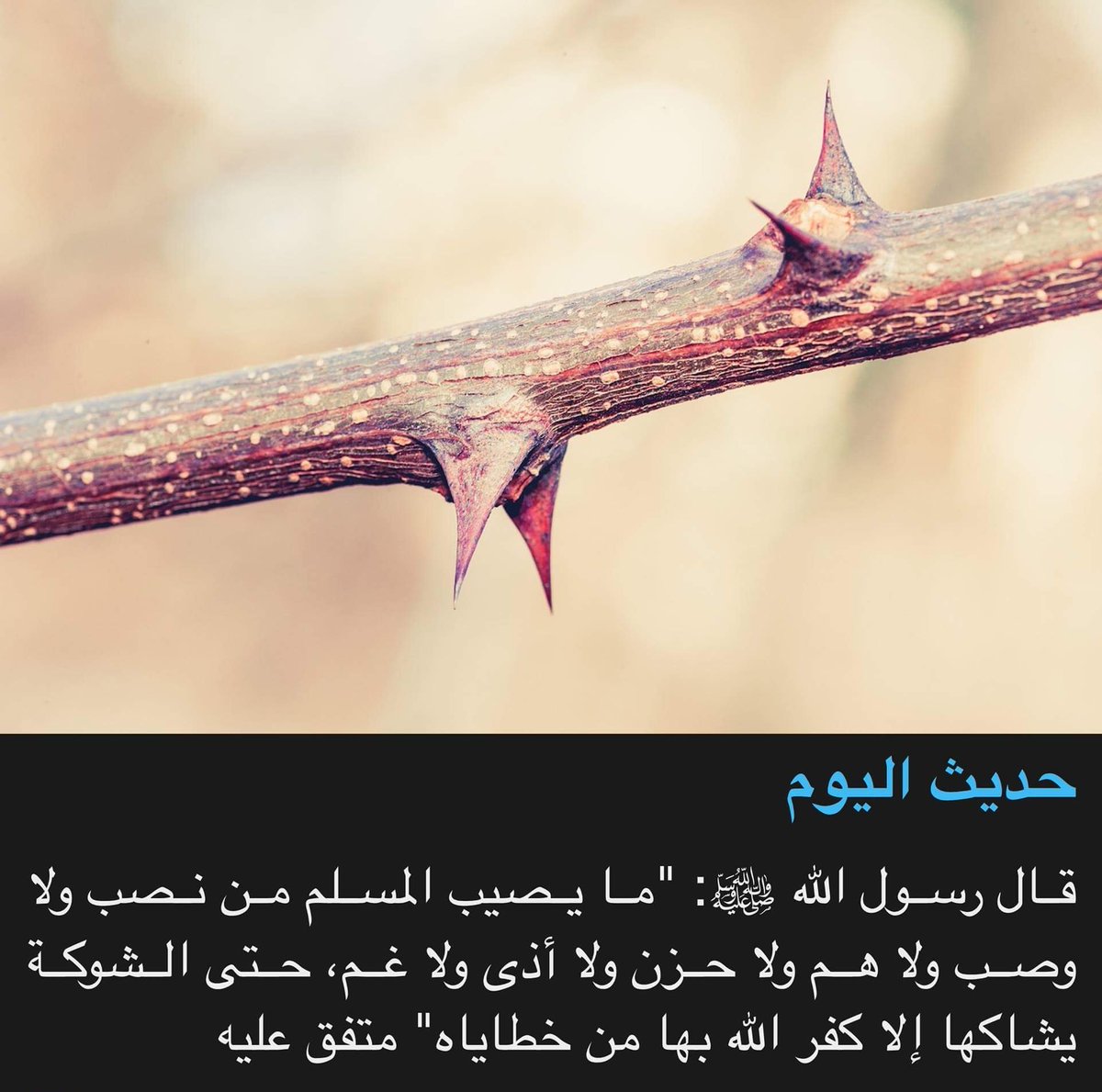 MAS2011120's tweet image. اللهم صل وسلم على سيدنا محمد وعلى آله وصحبه اجمعين