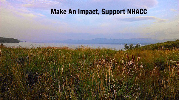 NHConsComs's tweet photo. Please support local conservation on #GivingTuesday. https://t.co/gyj0BWG2QL https://t.co/aEC3mbZQAm