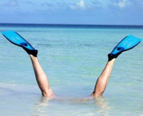 Codisto's tweet image. Deeper dive by #tamebay into #Codisto #Magento #eBay integration tamebay.com/2015/11/codist…