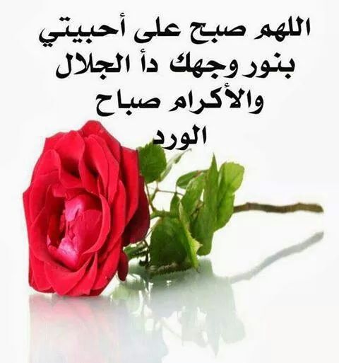 SzzAassssLk (@vcnb103) on Twitter photo 