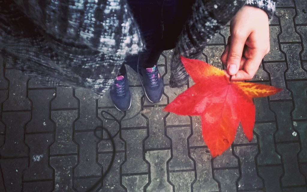 Хорошего дня всем! 
#sochi2015 #everydaylife #sochifornia #beautifulreality #nature #autumn #autmnleaves #autmncolo…