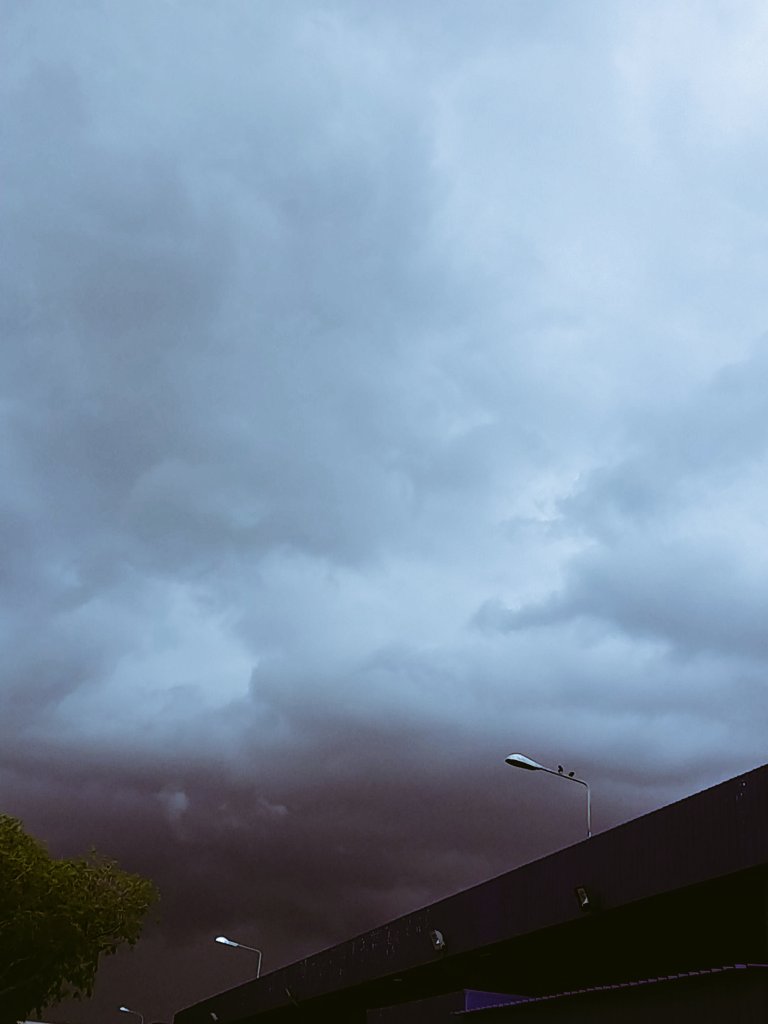 Shafiq ghani tweet media