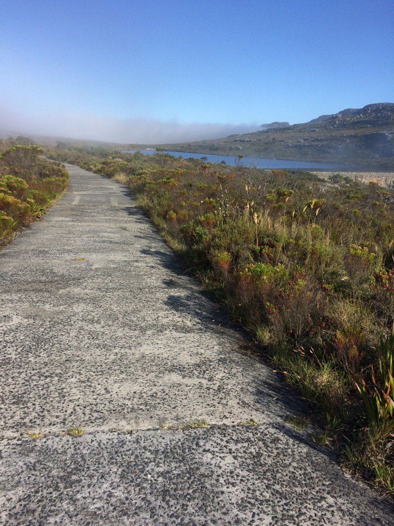 jluckhoff's tweet photo. #trafficreport on @TableMountainCa free flowing @capetown @KFMza #trailrunning https://t.co/who7Gp1rb5