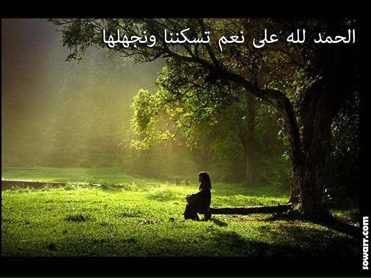 أصعب عملية حسابية يمكن أن تقوم بها على الإطلاق هي حساب النعم التي وهبك الله إياها ..

الحمدلله دائمًا وأبدا "