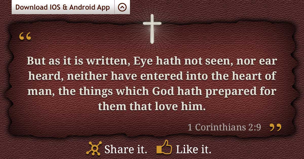 sophie_diesel's tweet image. Download android bible app and share verses on social media-bit.ly/1MLzN1R   #KeepsMeAwakeAtNight  #KeepsMe