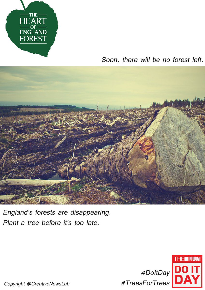 CreativeNewsLab's tweet photo. The Heart of England Forest OMB https://t.co/OUSTaxvwNg https://t.co/hxs3v6xDmr