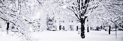 bombaflayout's tweet image. Holiday Jenn Mcallister layout 

@mysticmcallistr