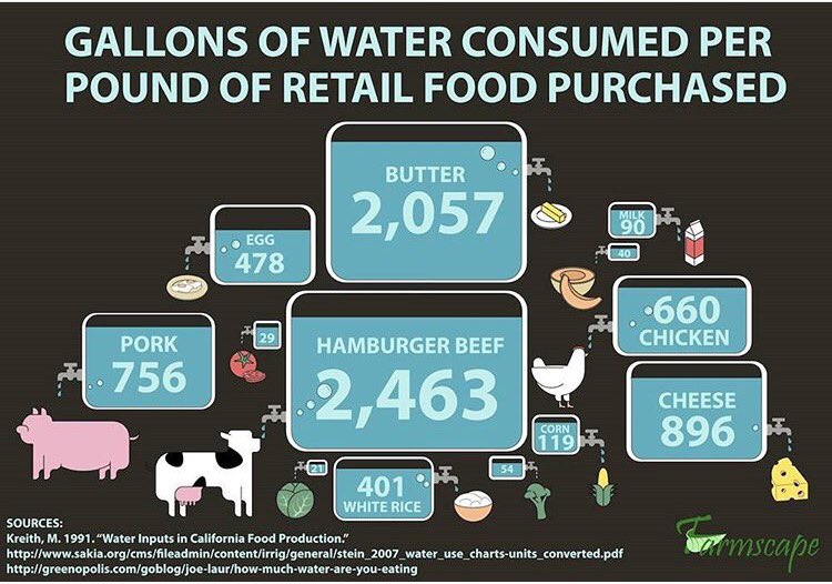 AllergicToMites's tweet photo. #ShortShower? If you #GoVegan you will do a lot more.
#Vegan #Farm365 #Water #Waste #ClimateChange #GlobalWarming https://t.co/U98Cwxvt2m
