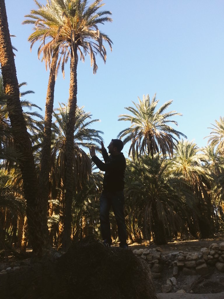 riyadkhaldi's tweet image. 