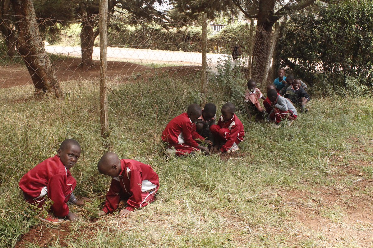 Let's take #climateaction by encouraging #treeplanting #COP21Paris