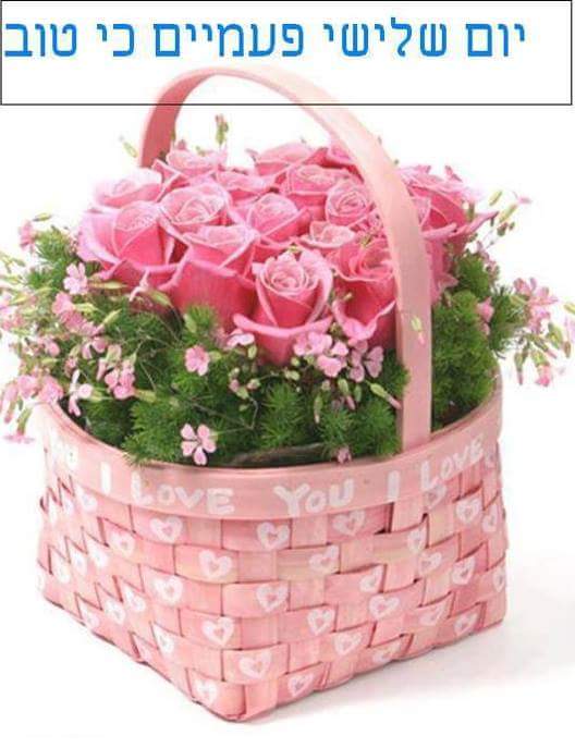 eiris68 tweet picture