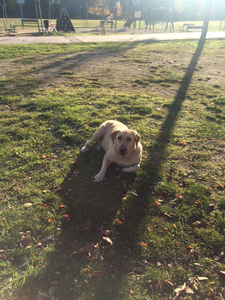 Hace ya seis añitos... Y los que nos quedan!!