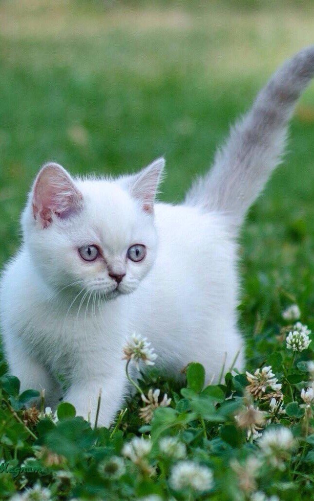 Salva (@_salomo) on Twitter photo 