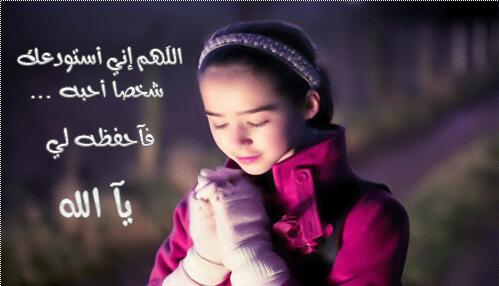 ابو بشار    _اليمن _ (@aomernpel) on Twitter photo 