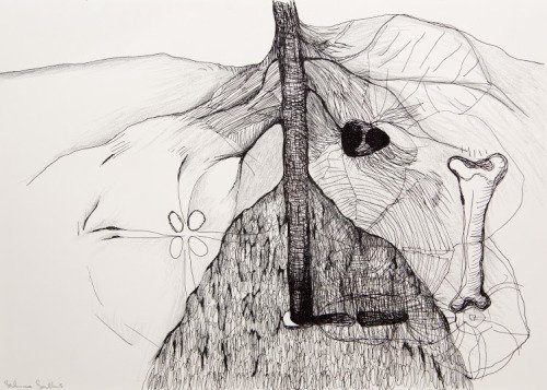 NUartauction's tweet photo. Sabina Sallis; From 'What the Garden Thinks' Series

#NUartauction #NorthumbriaUniversity #Drawing #Pen https://t.co/OKsYdYoAIu