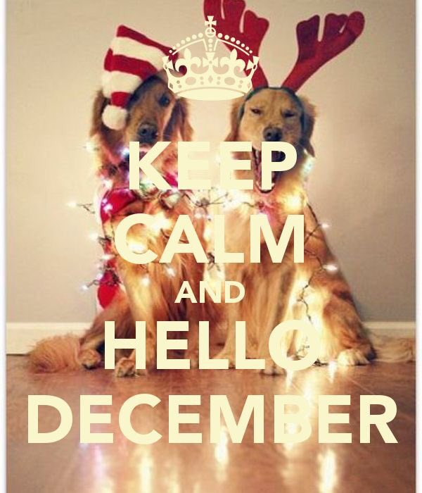 MMoversNiagara's tweet photo. December already??? Book your move with us and just sit back and enjoy the holiday season!
https://t.co/5CjNvduQl5 https://t.co/CKpQvU9086