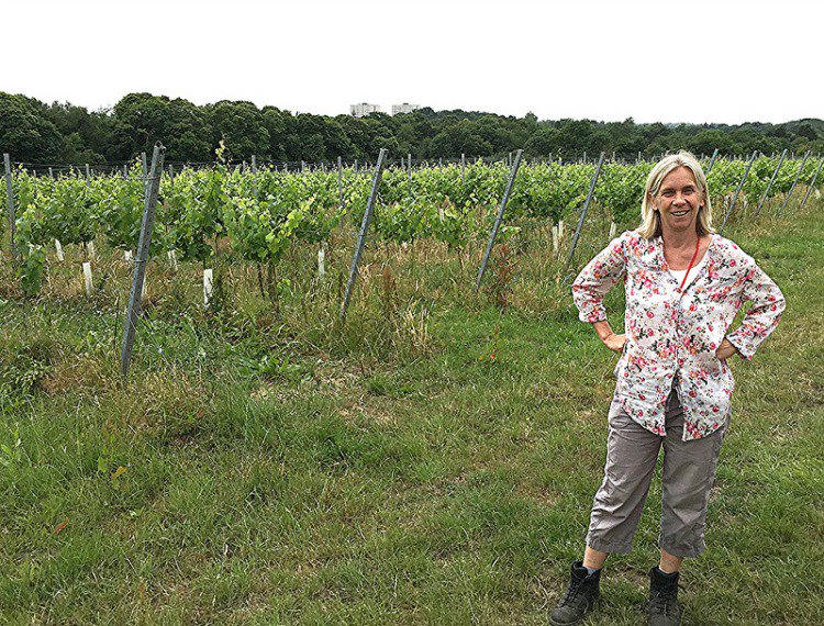 Whether or not you believe London invented sparkling wine, we're making it again as of today buff.ly/1QRkPK2