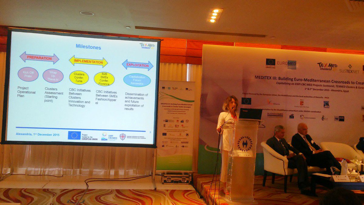 TEXMEDClusters's tweet photo. #SusannaLeonelli is speaking about @TEXMEDClusters. https://t.co/o05dr7fuLt