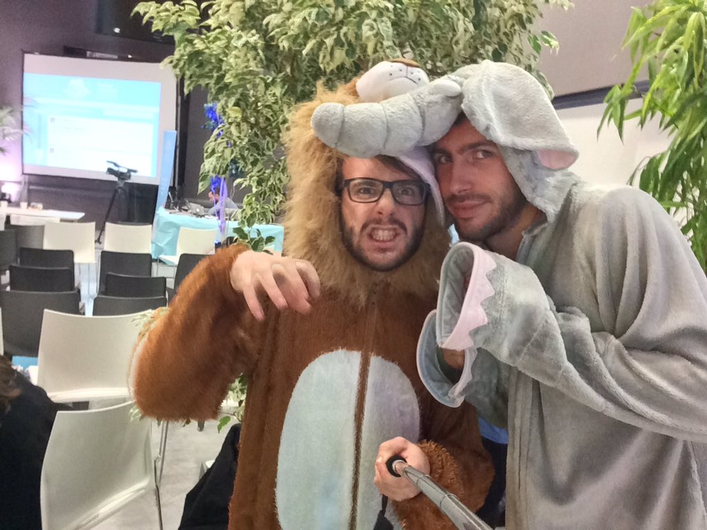 aroy314's tweet image. Allez Toulon ! #Swtln #gsb2015