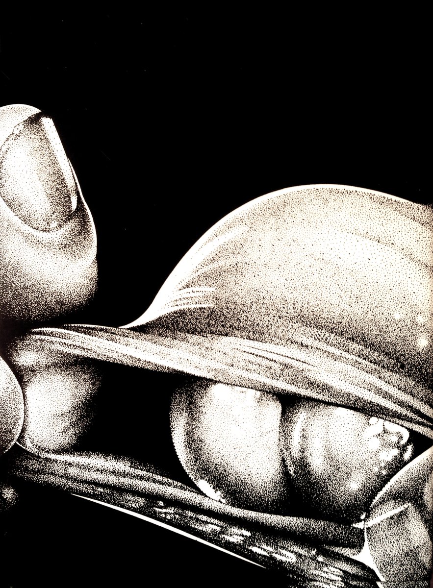 heretikradikal's tweet photo. Foreskin, a double-layered fold

in Rex Verboten!
pub 2012 #RexWerk #BrunoGmünder https://t.co/rpMKViptG4