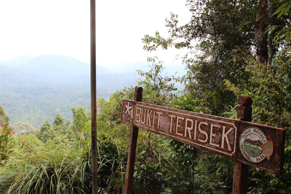 xcaperesort's tweet photo. Enjoy the magnificent panoramic view of Gunung Tahan and fabulous rainforest canopy throughout the hills and valleys https://t.co/st8g22BJax