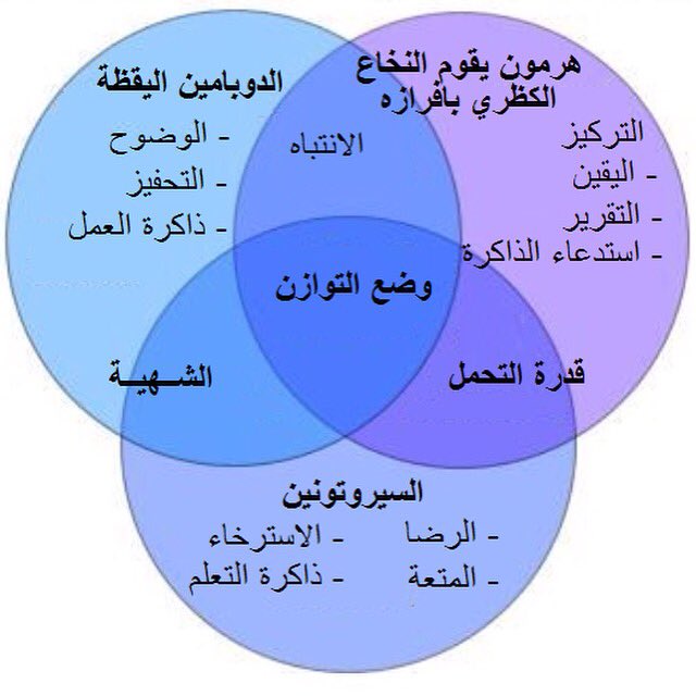 iwlp_eed's tweet photo. #اخسر #وزنك #مع #برنامج #انقاص #الوزن #المتكامل #iwlp #واحصل #على #جسم #مثالي #جده #المملكه #العربيه #السعوديه https://t.co/N9TmBDMrx5