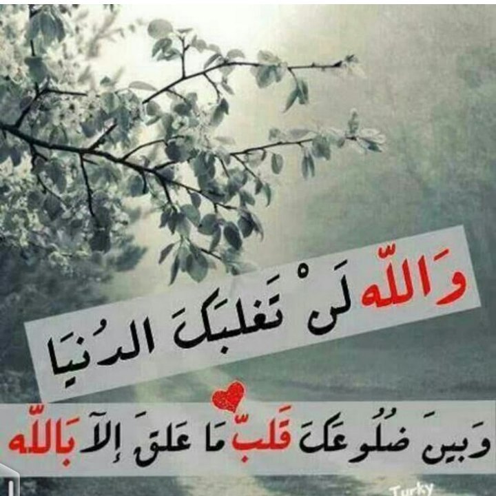 .
ألهي اسكب على قلبي السكينه😔
لأتجاهل كل شئ يؤلمني😔
.