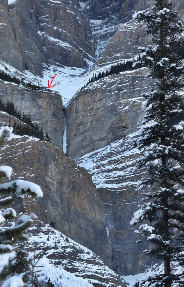 Highline Magazine tweet media