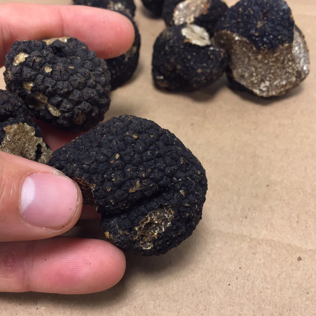 ForagedFresh's tweet photo. Truffles. #today #burgundy https://t.co/q1sCgqsHTr