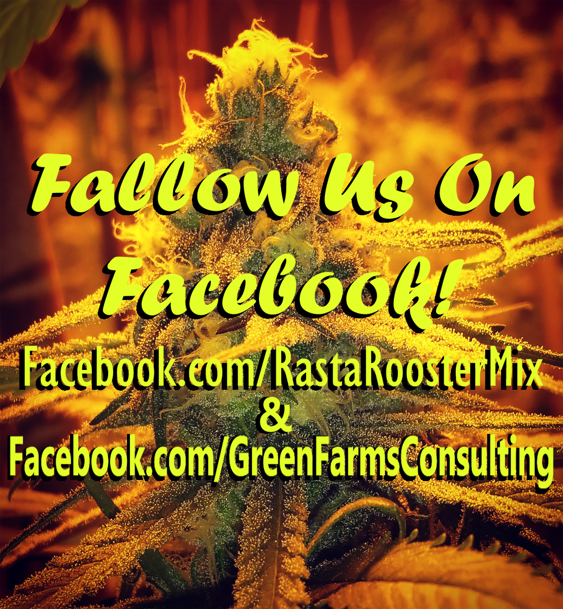 jw_llc's tweet photo. #cannabisreform #cannabusiness #marijuana #medicalmarijuana #weed #HempLife #hemp #cannabisclub #cannabis #smokeweed https://t.co/6OtjaRXsyz