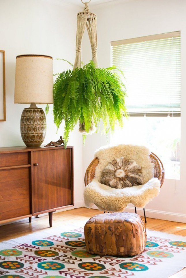 Houseplants that will clean your air for you. goo.gl/ZLg1SF