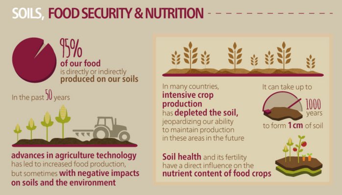 WasteShifter's tweet photo. Healthy soils have a direct influence on #food #nutrition https://t.co/fpZFOOgxME #WorldSoilDay #WhatsForLunch https://t.co/bXqw1BQNrl