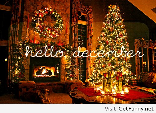 DLees28's tweet photo. It's December and no body has asked me if I was ready! 🎉🎁🎅 https://t.co/vadiBhvMZ6