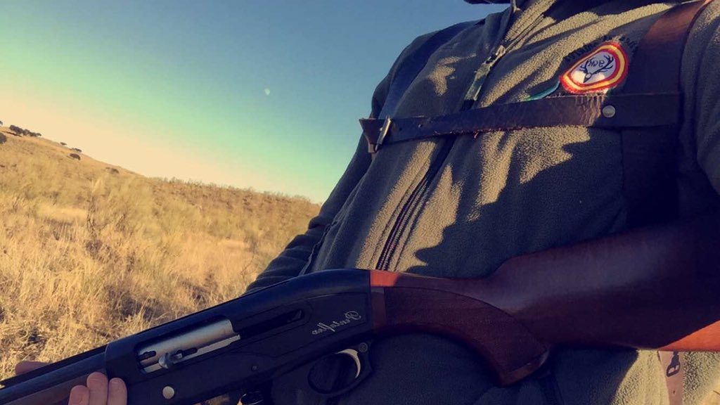 prior_2's tweet photo. 🍂🐗 https://t.co/cdy32FT9nj