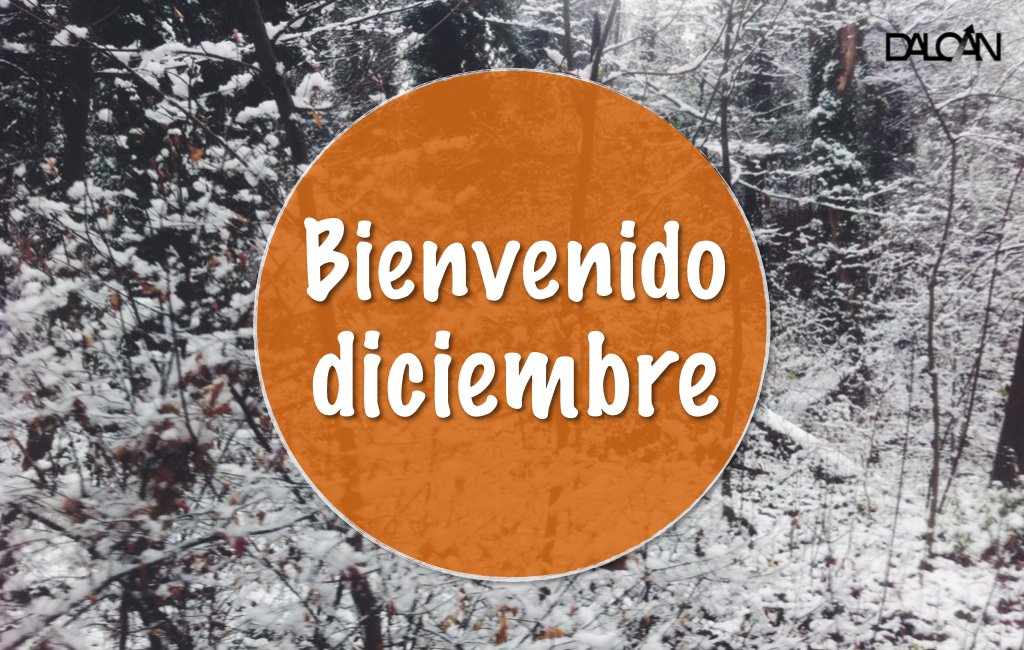 ¡Feliz #diciembre de #luz! #LaLuzDeTuVida #Hogar #Iluminación #Deco