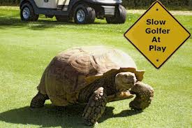CaddyMeGolf's tweet photo. a lot in the #News about #slowplay this week. I hope any changes made don't affect the traditional game! https://t.co/EWVdsluJI7