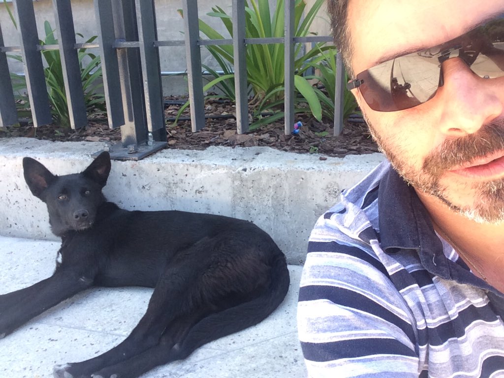 viewyfinder's tweet photo. @felawebeando Acá sigue con nosotros! Y buscándo flia! https://t.co/2EuSoPUB2n