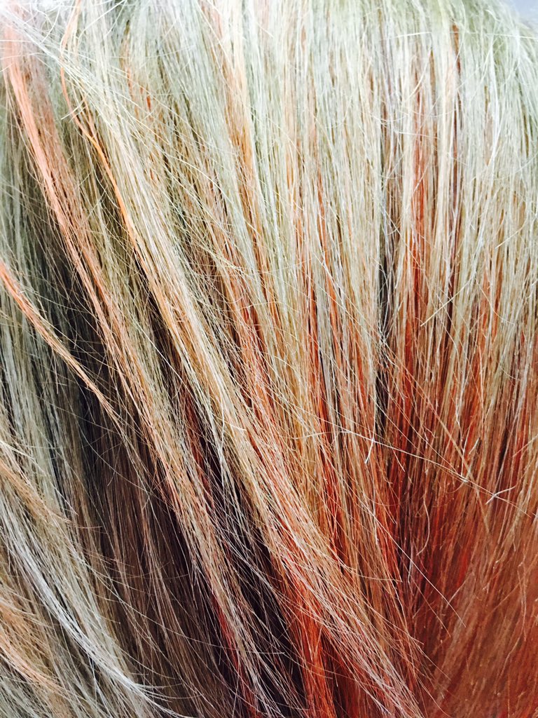 hairz_z's tweet photo. New effect #mycolorcraving #sunsetcopper #color #newnewnew #byhairz https://t.co/KP5FreZSSG